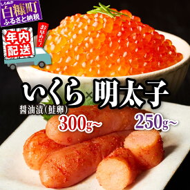 【ふるさと納税】醤油漬鮭いくら 300g(100g×3パック) / 600g(100g×3パック×2箱) × 辛子明太子 250～1kg セット 小分け 国産 極上品 いくら醤油漬 いくら醤油漬け イクラ醤油漬け ikura おすすめ 人気 冷凍 個包装 小分け 大容量 明太子 めんたいこ 魚介類 白米 魚卵