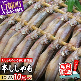 【ふるさと納税】年内配送 12/23まで受付 ししゃも 国産 10尾 / 20尾 / 30尾 /60尾 【選べる容量】 海鮮 ふるさと納税 魚 本ししゃも シシャモ 柳葉魚 白糠産 国産 魚介 高級 干物 惣菜 子持ち グルメ 食べ物 人気 ランキング 冷凍 年末年始 北海道 白糠町 白糠