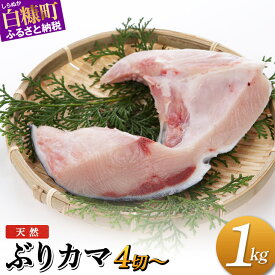 【ふるさと納税】【訳あり】 天然ぶりカマ 1kg ふるさと納税 魚 ぶり 天然 鰤 ブリ 鍋 北海道 国産 白糠町 カマ焼き ブリ大根 カマ 塩焼き わけあり ふるさと