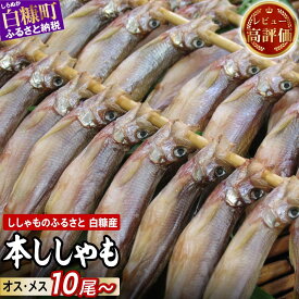 【ふるさと納税】ししゃも 国産 10尾 / 20尾 / 30尾 /60尾 【選べる容量】 海鮮 ふるさと納税 魚 本ししゃも シシャモ 柳葉魚 白糠産 国産 魚介 高級 干物 惣菜 子持ち グルメ 食べ物 人気 ランキング 冷凍 北海道 白糠町 白糠