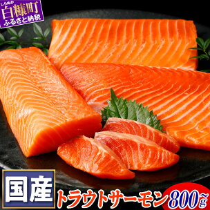 高評価★4.78 サーモン 国産 トラウトサーモン 80...