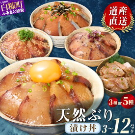 【ふるさと納税】選べる 天然ブリ 漬け丼 3種 5種 3~12食 食べ比べ セット 北海道産 漬け丼の素 ふるさと納税 魚 ぶり 天然ぶり 鰤 ハマチ 小分け ふるさと 刺身 海鮮丼 海鮮 魚介類 冷凍 国産 人気 ランキング 贈答用 ギフト プレゼント お取り寄せ 北海道 白糠町