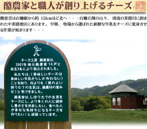 �����ʲ���