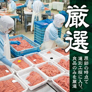 返礼品画像