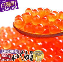 楽天市場 ふるさと納税 レビュー高評価のお礼の品