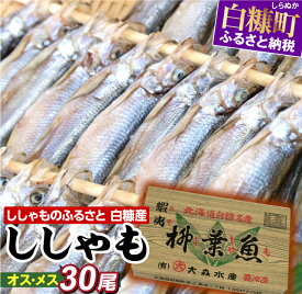 楽天市場 シシャモ 産地 都道府県 北海道 魚介類 水産加工品 食品 の通販