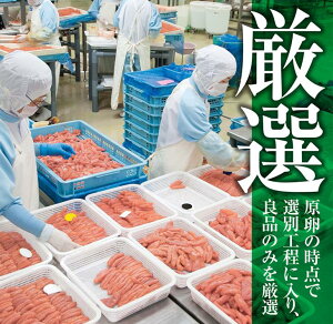 返礼品画像