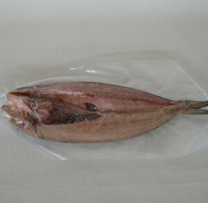 楽天市場 ふるさと納税 干物セット 5種類計10枚 季節によって内容が代わります ふるさと納税 魚 北海道白糠町