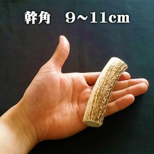 yӂ邳Ɣ[ŁzJbgpy10cm×3{zg[c