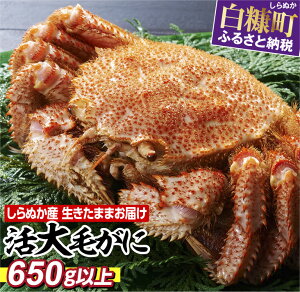 yӂ邳Ɣ[ŁzʂY TCYтɁy650gȏzkC  ӂ邳Ɣ[ CN