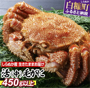yӂ邳Ɣ[ŁzʂY TCYтɁy450gȏz ӂ邳Ɣ[ kC