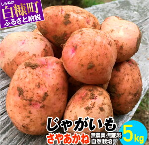 yӂ邳Ɣ[ŁzႪi₠ˁj_E엿ER͔|EkCYy5kgz ӂ邳Ɣ[ kC