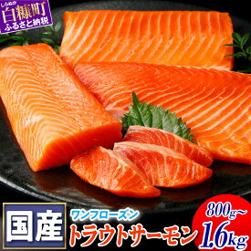 【ふるさと納税】高評価 4.75 ふるさと納税 魚 国産ワンフローズントラウトサーモン 800g ／ 訳あり増量品 1.2kg 海鮮 サーモン 鮭 刺身 さけ サケ 人気 ふるさと 海鮮食品 魚介類 魚介 北海道 白糠町