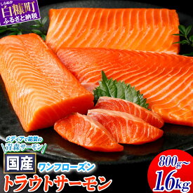 【ふるさと納税】高評価 4.75 ふるさと納税 魚 国産ワンフローズントラウトサーモン 800g ／ 訳あり増量品 1.2kg 海鮮 サーモン 鮭 刺身 さけ サケ 人気 ふるさと 海鮮食品 魚介類 魚介 北海道 白糠町