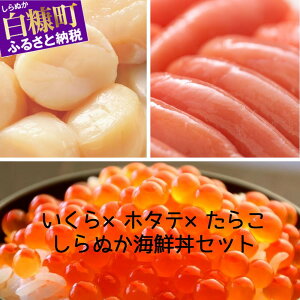 いくら 1kg その他の魚介類の人気商品 通販 価格比較 価格 Com