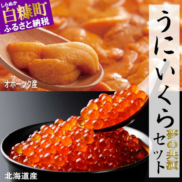 上質で快適 と いくら うに のセット 魚介類・水産加工品 上質で快適 と いくら うに のセット 魚介類・水産加工品
