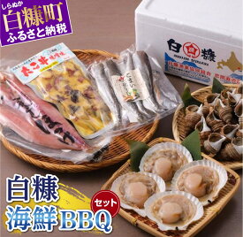 【ふるさと納税】白糠海鮮BBQセット ふるさと納税 ホタテ 北海道 海鮮 魚 グルメ 食べ物