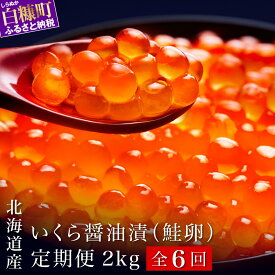 【ふるさと納税】【定期便】 6回お届け ふるさと納税 いくら お試し寄付金額 シラリカいくら【醤油漬け】 定期便 2kg (250g×2パック×4箱) ×6回 北海道産 鮭 海鮮 イクラ 醤油漬け 北海道 定期便 小分け ランキング 人気 白糠町