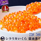 お試し寄付金額 ＼総合1位／ 高評価 4.78 シラリカいくら【醤油漬け】 250g／500g (250g×2) 【内容量が選べる】 北海道産 鮭 ふるさと納税 海鮮 いくら 醤油漬け イクラ 北海道 小分け ランキング 人気