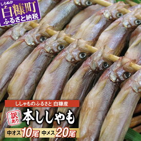 【ふるさと納税】【訳あり】しらぬか産 本ししゃも 【数量限定】【中オス10尾・中メス20尾】 とっても美味しい! ふるさと納税 魚 ししゃも 北海道産 国産 魚介 グルメ 食べ物 人気 ランキング 北海道 白糠町