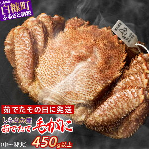yӂ邳Ɣ[ŁzʂY 䥂łĖтɁy450gȏ`z ӂ邳Ɣ[ CN kC 