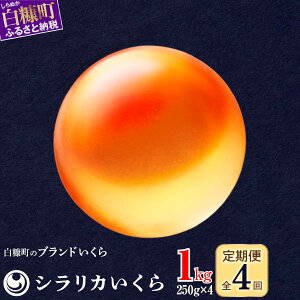 yӂ邳Ɣ[Łz N4񂨓͂ VJy1kg(250g×4)z ӂ邳Ɣ[  D݂ɖtł܂ tȂ kCCNIs  kCY Y CN  