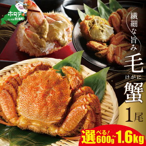 yӂ邳Ɣ[ŁzyyVz ]5.0 ъI 1 Iׂ  600g - 1.6kg i ӂ邳Ɣ[ уKj ӂ邳Ɣ[ ъI  Jj ӂ邳Ɣ[ I уKj т  l 1t ӂ邳Ɣ[