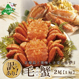 楽天市場 ふるさと納税 蟹の通販