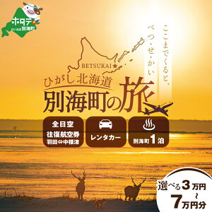 yӂ邳Ɣ[ŁzyIׂ񕍋zzЂkC ʊC̗iHc ANA q + ʊC h 1 + ^J[ kC s s ze  h j 117,000~ 184,000~ 250,000~