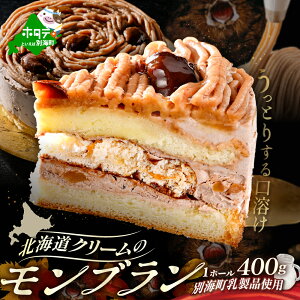 【ふるさと納税】北海道 クリーム の モンブラン 400g × 1個 【CM0000005】