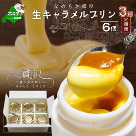 【ふるさと納税】高評価★5.00【 年3回 プリン 定期便 3ヶ月 連続 定期 】絶品 濃厚 ！ 生キャラメル プリン 6個入 × 3ヵ月【全 3回 】（ ふるさと納税 プリン 定期便 ぷりん 定期便 3ケ月 3カ月 3か月 北海道 牛乳 スイーツ ランキング 人気 ふるさと 訳あり ）