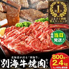 【ふるさと納税】【最強翌日配送】高評価★4.45 総合1位 北海道産 牛肉 ふるさと納税 別海牛 焼肉 （ ふるさと納税 肉 小分け 牛肉 焼肉 肉 ふるさと納税 訳あり 焼き肉 バーベキュー ふるさと 牛 最強配送 人気 ランキング 北海道 別海町 ）（クラウドファンディング対象）