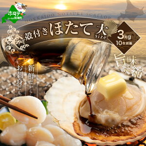 yӂ邳Ɣ[Łzys\zkCtYz^e 3Kgi10OjyKO0000001ziӂ邳Ɣ[ ق z^e  L t { j