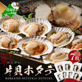 【ふるさと納税】 片貝 ホタテ 7枚 北海道別海町 野付産 （ ふるさと納税 ホタテ ふるさと納税 帆立 ふるさと納税 訳あり ホタテ貝柱 貝柱 貝 海鮮 北海道 別海町 冷凍 ）