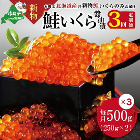 楽天市場 イクラ 醤油漬け 500gの通販 楽天市場 イクラ 醤油漬け 500gの通販