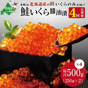 yӂ邳Ɣ[Łz]5.0 CN  y N4     zkC Y  CN 500g ( 250g × 2pbN) 4 Y v 2kg i ӂ邳Ɣ[ CN  ӂ邳Ɣ[  