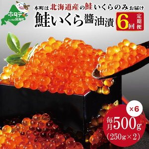 yӂ邳Ɣ[ŁzCN  y N6     zkC Y  CN 500g ( 250g × 2pbN ) 6 Y v 3kg i ӂ邳Ɣ[ CN    ݖЂ N 