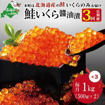 楽天市場】いくら 3kgの通販 