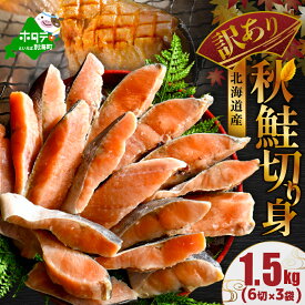 【ふるさと納税】高評価★5.0 北海道産 天然 秋鮭 ほどよい塩加減 1.5kg （6切れ×3パック） 小分け （ ふるさと納税 鮭 切り身 ふるさと納税 秋鮭 さけ サケ ふるさと納税 訳あり わけあり 不揃い 白鮭 ふるさと シャケ 海鮮 魚 切身 人気 ランキング 北海道 別海町 ）