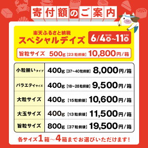 【ふるさと納税】2年連続総合1位ホタテ訳あり4個まで選び放題(ふるさと納税ほたてふるさと納税訳ありふるさと納税帆立刺身ふるさとホタテわけありホタテホタテ貝柱貝人気不揃い魚介ランキング海鮮貝柱冷凍発送時期が選べる北海道別海町父の日)
