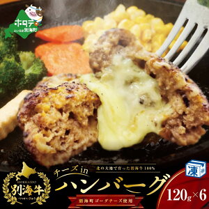 yӂ邳Ɣ[Łz`[YƂ낯!ʊC`[YCno[O(120g×6)yʊC100%ƕʊCS[_`[Yzybe046-1216zi ӂ邳Ɣ[ no[O no[O 100% 100%    