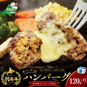 yӂ邳Ɣ[Łz`[YƂ낯!ʊC`[YCno[O(120g×12)yʊC100%ƕʊCS[_`[Yzybe046-1218zi ӂ邳Ɣ[ no[O no[O 100% 100%    