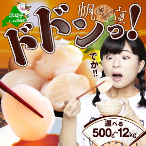 yӂ邳Ɣ[Łz]4.93 W{ z^e 500g 1kg kC tY Ⓚz^e L i ӂ邳Ɣ[ ق ӂ邳Ɣ[  ӂ邳Ɣ[   󂠂 قĊL z^e L 