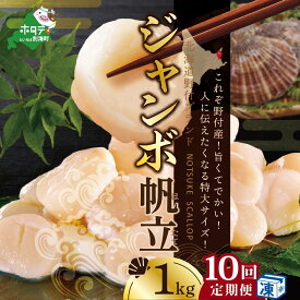 【ふるさと納税】【緊急支援品】【禁輸に負けない！】高評価★4.92 北海道 野付産 漁協からお届け 冷凍ホタテ 貝柱 ジャンボホタテ500g または 1kg（ ほたて 帆立 ほたて貝柱 訳あり 特大 生食 中国禁輸 春 旬 ）（クラウドファンディング対象 ）