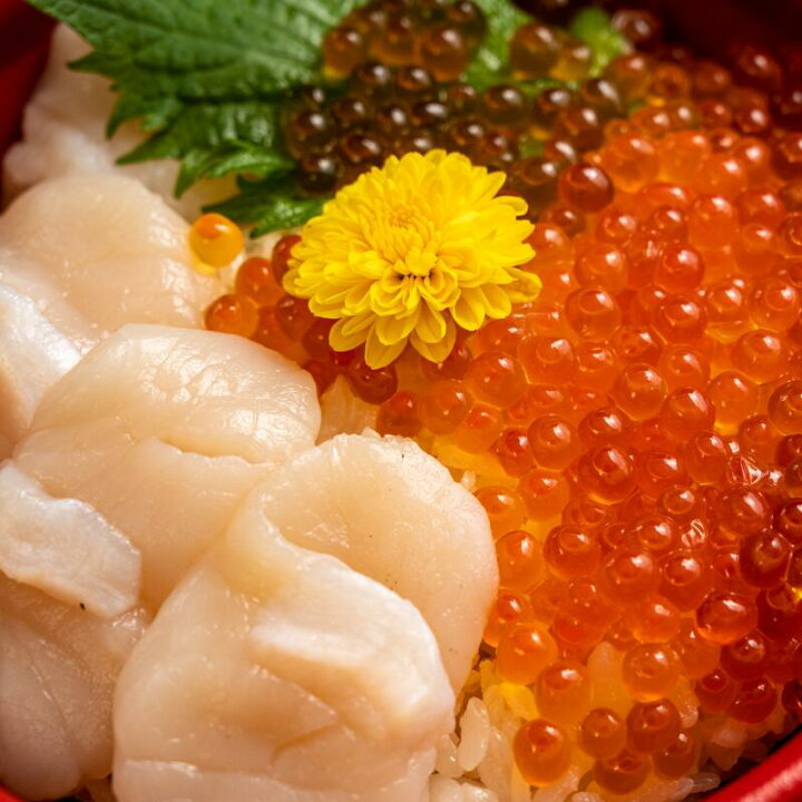 楽天市場 ふるさと納税 贅沢 海の幸 漁協 直送 本場 北海道 ホタテ 500g いくら 醤油漬け 250g 海鮮 セット ほたて 帆立 ほたて貝柱 帆立貝柱 冷凍 刺身 刺身用 貝柱 天然 生食 ふるさと納税 海鮮丼 大 鮭 小分け 鮭卵 000円 000円