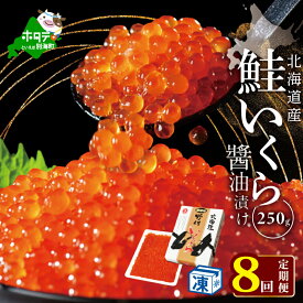 【ふるさと納税】【 年8回 いくら 定期便 毎月 定期 】高評価★5.0 北海道 別海町 産 鮭 イクラ 250g 1パック 8回 漁協から直送 計 2kg （ ふるさと納税 イクラ 定期便 ふるさと納税 いくら 定期便 醤油漬け 大粒 小分け 国産 鮭卵 8 8ヶ月 8ケ月 8ヵ月 8か月 ） 秋 旬