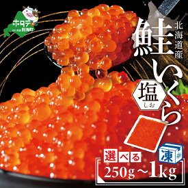 【ふるさと納税】 高評価★4.51 本場 塩いくら 北海道 産 塩イクラ 選べる内容量 250g ～ 1kg（ ふるさと納税 いくら 北海道 国産 ふるさと納税 イクラ ふるさと納税 塩 いくら 訳あり のおいしさ 塩漬け いくら塩漬け 国産 別海町 小分け 人気 ランキング 北海道 別海町 ）