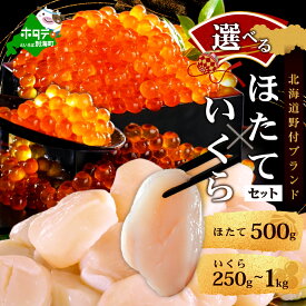 【ふるさと納税】 記録的不漁続き いくら ホタテ 内容量が選べる 海鮮 セット 北海道 帆立 貝柱 & いくら 醤油漬け ( ふるさと納税 いくら 鮭 ほたて 帆立 ふるさと納税 訳あり 福袋 ふるさと 人気 ランキング 別海町 年内配送 )