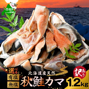 yӂ邳Ɣ[Łz kCY VR H J} 1.2kg y Iׂ L  z i ӂ邳Ɣ[  󂠂 ӂ邳Ɣ[   ӂ邳Ɣ[  ؂g Y ӂ邳Ɣ[ 󂠂 ӂ邳  V