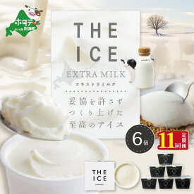 【ふるさと納税】【毎月定期便】【THE ICE】エキストラミルク6個×11ヵ月定期便（J FARM AMUSE 株式会社）